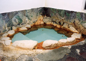 Shirahama Onsen National Lodging Hotel Shirahama
