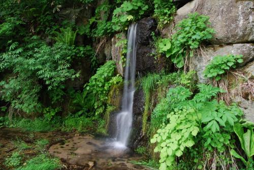 尾瀬岩鞍リゾートホテル