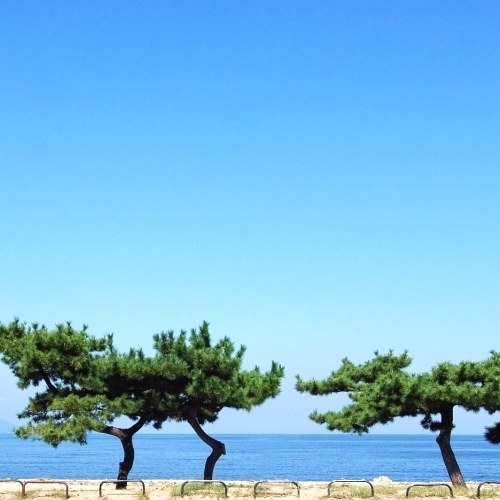 Kuapark Tsuda Kokumin Shukusha