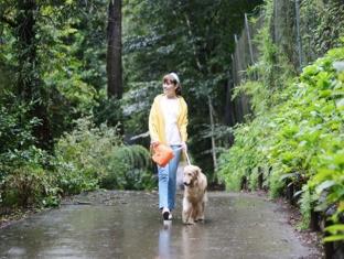 小谷流の里 ドギーズアイランド