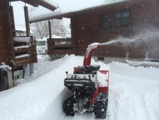 ログコテ－ジトマト