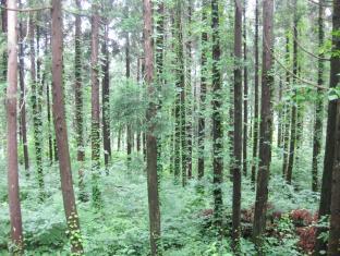 旅館 青荷山荘