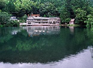 ペンション 金鱗湖 豊の国