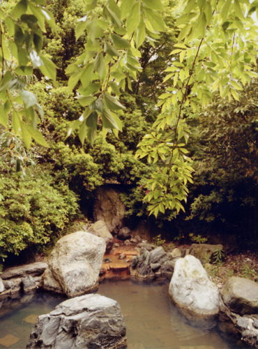 Oogane Onsen Grand Hotel