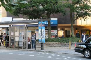 Bancourt Namba 901