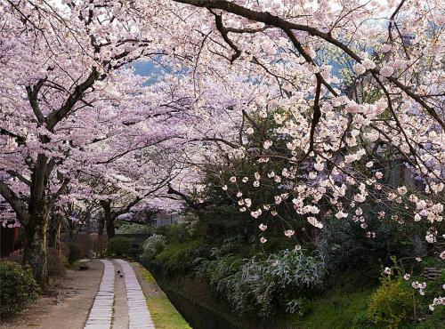 My Kyoto Pied à Terre NINOAN 弐の庵