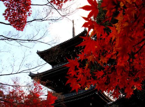 My Kyoto Pied à Terre ICHINOAN 壱の庵
