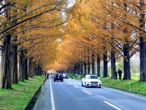 ゲストハウスオーヤマinn伏見稲荷A棟