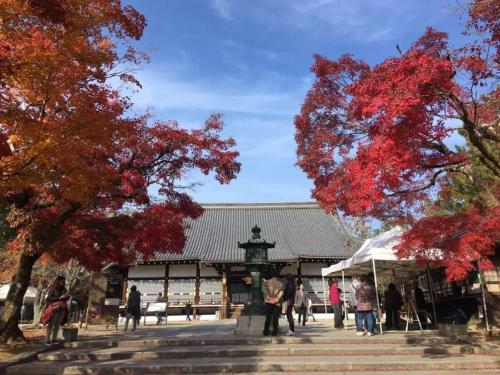 ゲストハウスオーヤマinn伏見稲荷A棟