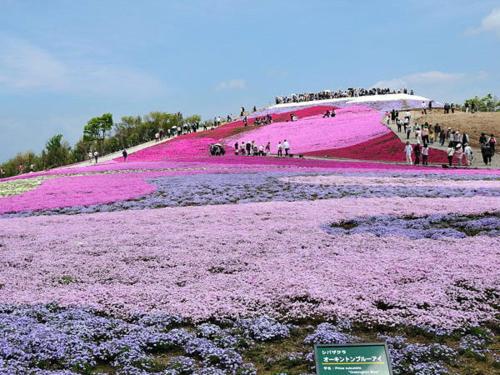 農家ゲストハウスポレポレ