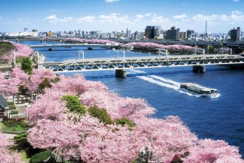 浅草ホームスウィーツ東京