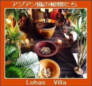 ロハスヴィラ