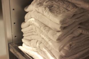 ザ ミレニアルズ 京都