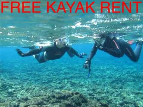 Ken's Beachfront Lodge 2 with Private Beach and Free Canoe Rental