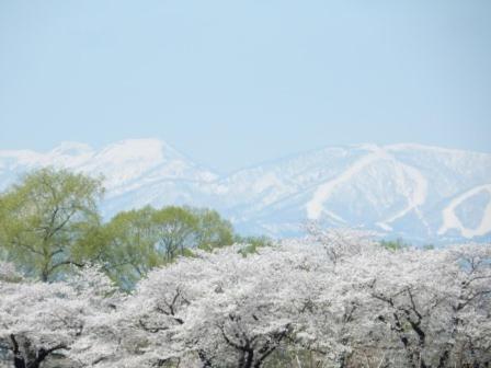 ゲストハウス蘖 10畳