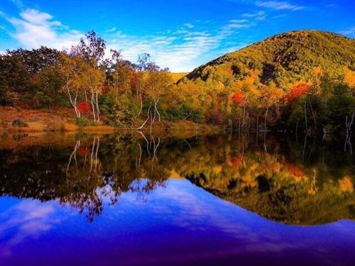 アルパインミズシロ