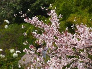湯河原温泉 ホテル 眺望山荘