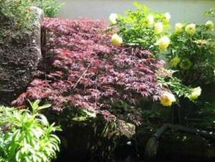 スパ民宿 お宿いぐち