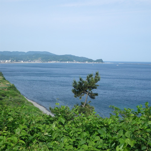 Pension Kamome
