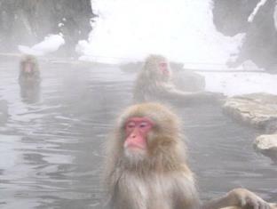 よろづやアネックス 湯楽庵