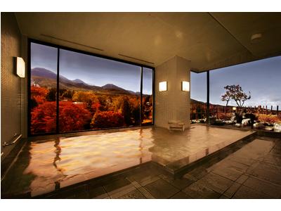 Ryokan Sakurai (Ikaho Onsen)