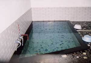 Yunohama Onsen Onsen Minshuku Shirahamaya