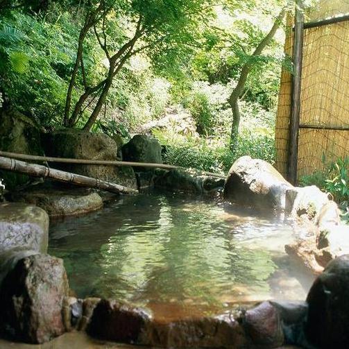 Sujiyu Onsen Kujyu Iyashi no Sato Hotel Dai Kogen