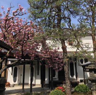四季々々 しんら 京町家 うなぎの寝床