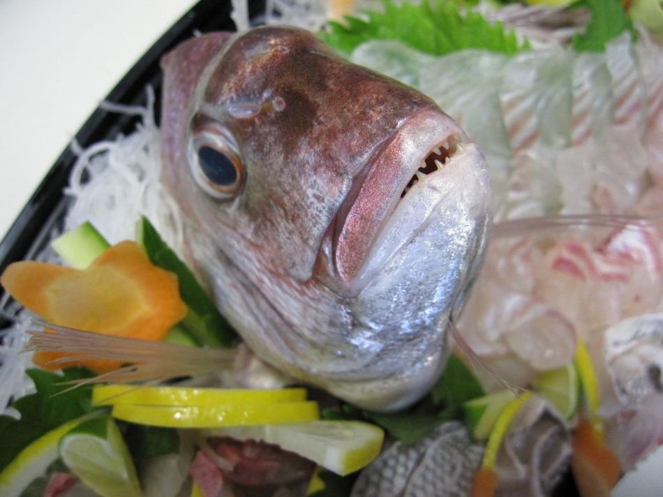 Awajishima Eight Minshuku