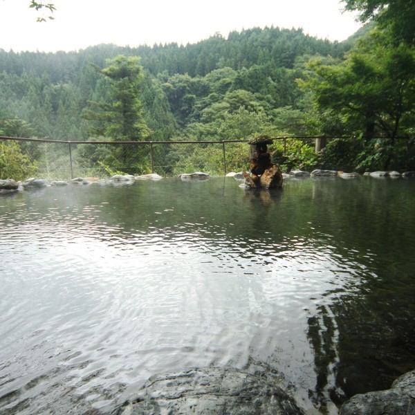 Sarugakyo Onsen Yumoto Choseikan