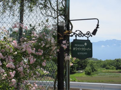 Kiyosato Pension White Clover