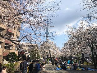 ［浅草］アパートメント（55m²）｜ 1ベッドルーム／1バスルーム