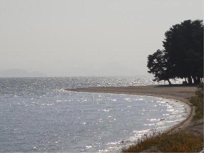 Shirahamaso