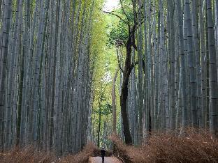 住亭 KIYOMIZU GOJO