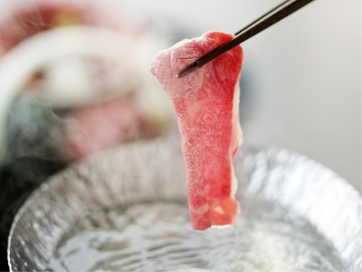 Yukei-no-yado Umi-no-yurikago Hagikomachi