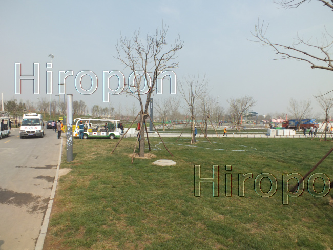 西安世界園芸博覧会 5