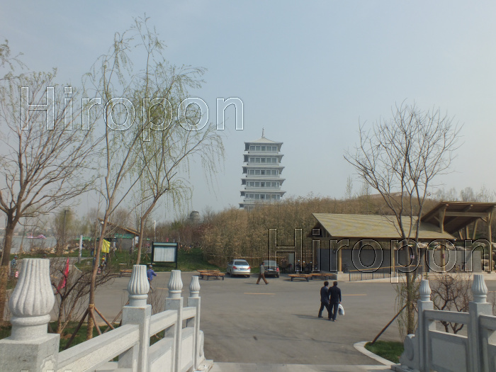 西安世界園芸博覧会 39