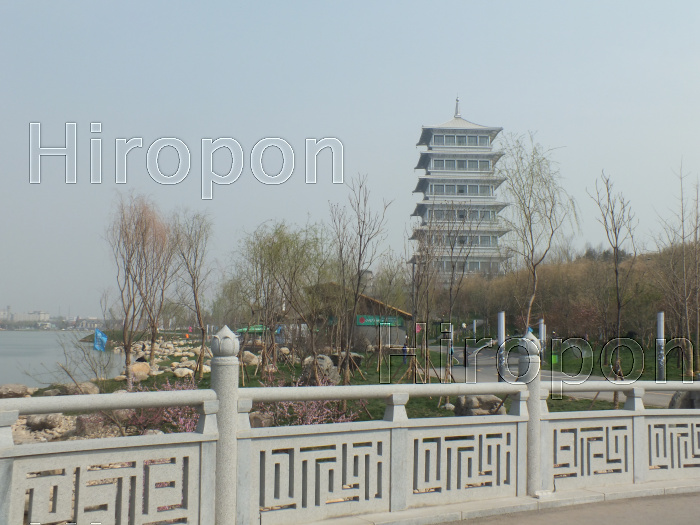 西安世界園芸博覧会 40