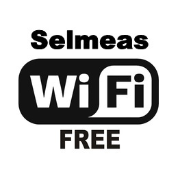 Selmeas Inn Nihonbashi