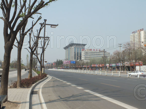 大明宮(2011年4月撮影) 14