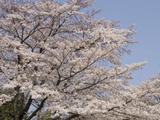 奈良 万葉若草の宿 三笠
