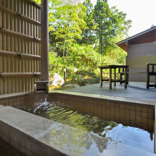 Uguisudani Onsen Takenoha