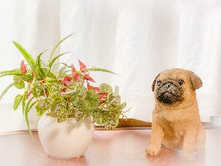 ［新宿］スタジオ アパートメント（33 m²）／1バスルーム