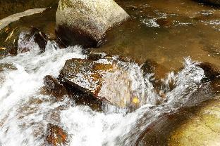 万葉の里白雲荘