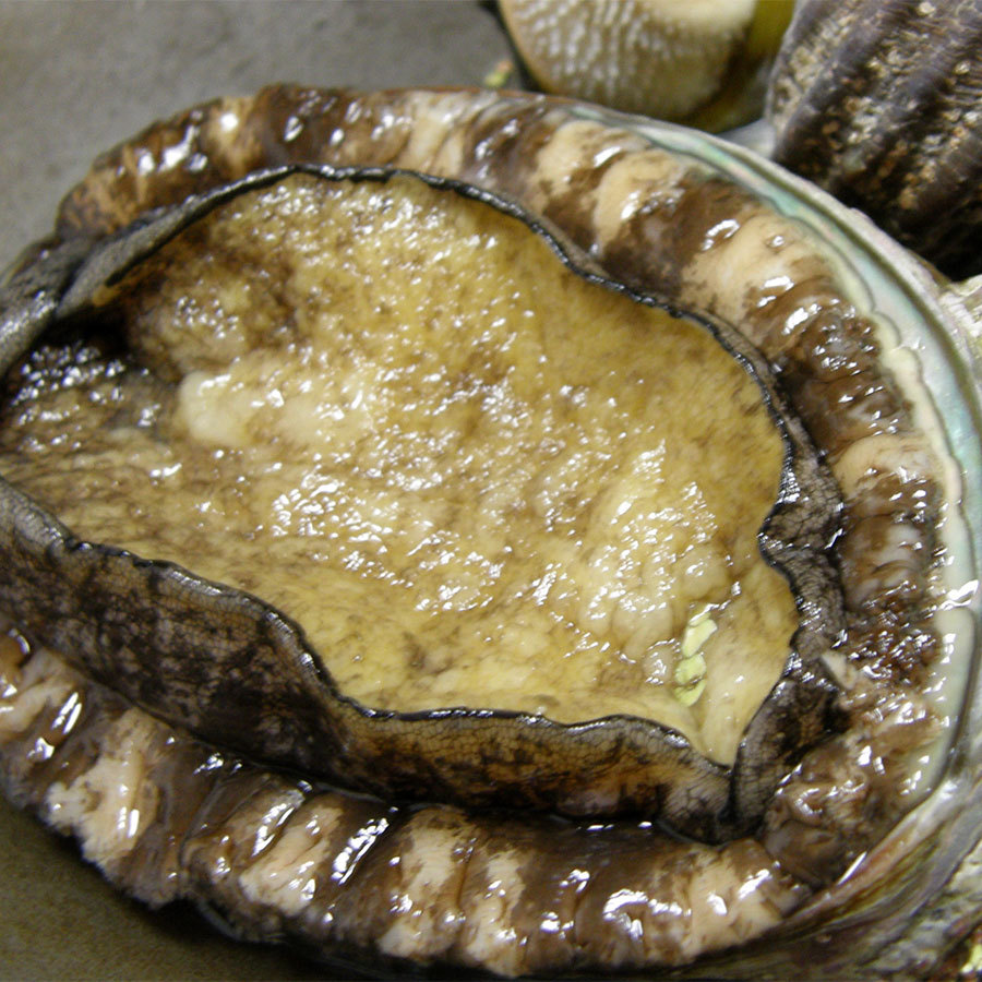 Abalone and Spiny Lobster House Tamaya