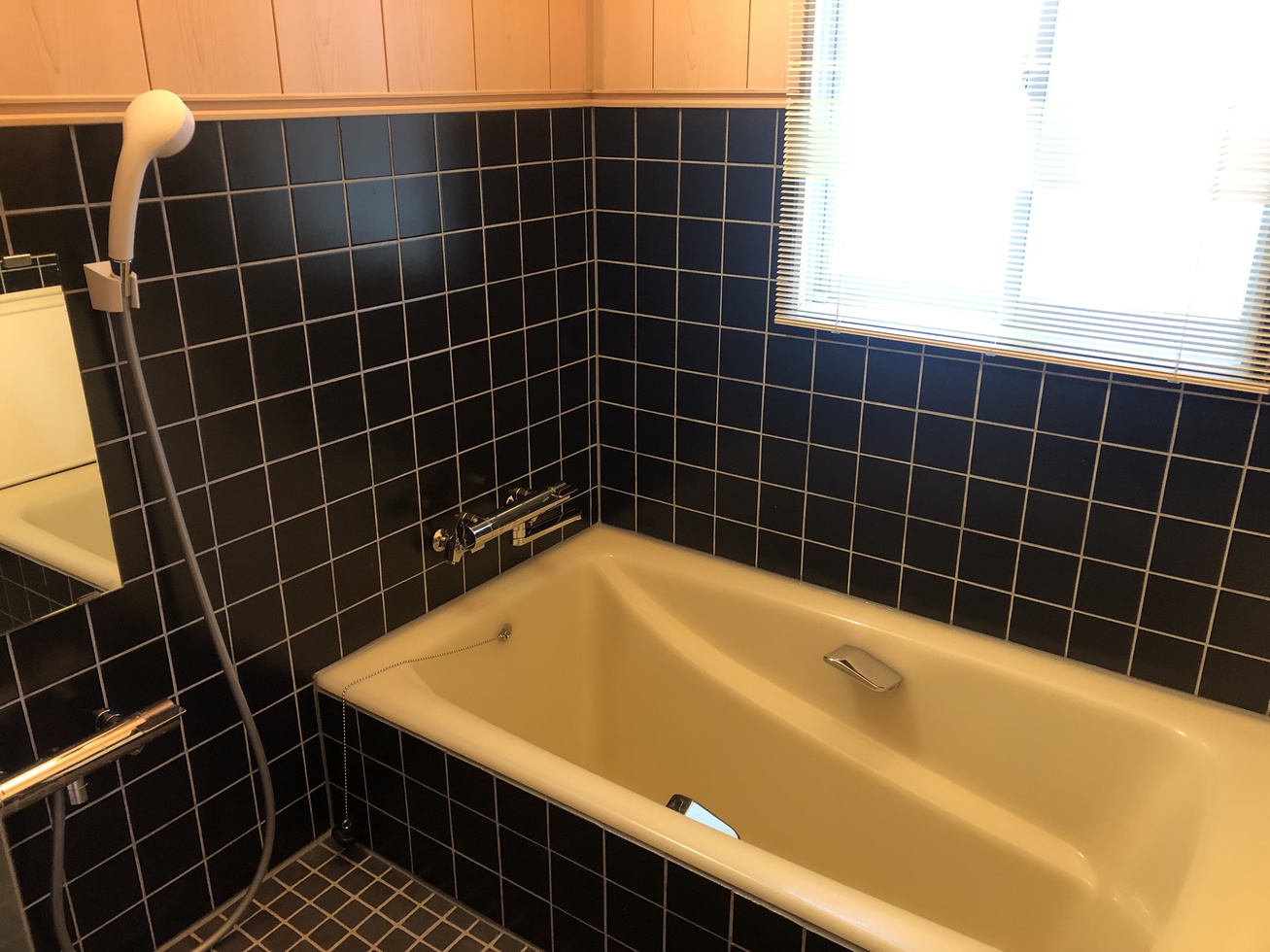 Suite Villa Yamanakako