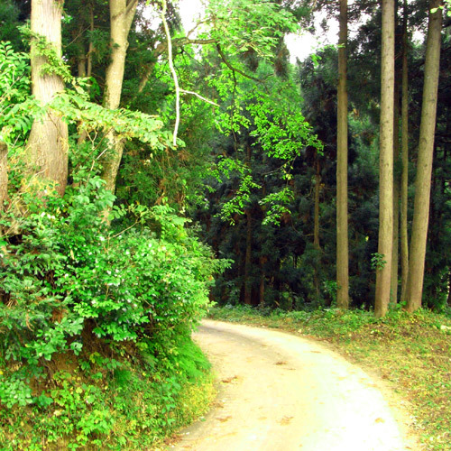 Futatsuya Onsen Kokoro no Yado Yasuragi