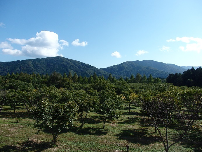 Forest Villa Yumesuzu