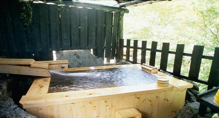 Sujiyu Onsen Kujyu Iyashi no Sato Hotel Dai Kogen