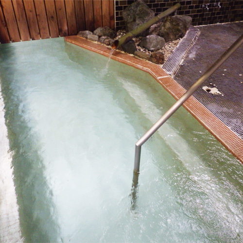 Reisenji Onsen Nakaya Ryokan (Nagano)